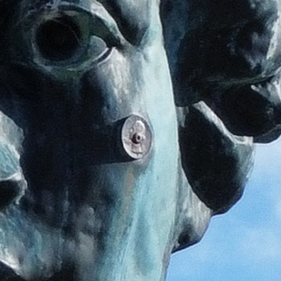 left cheek quarter close-up