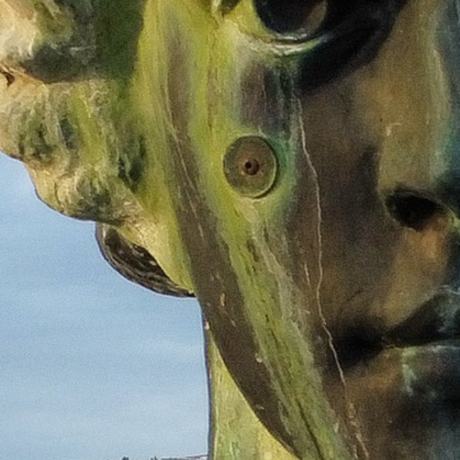 right cheek quarter close-up